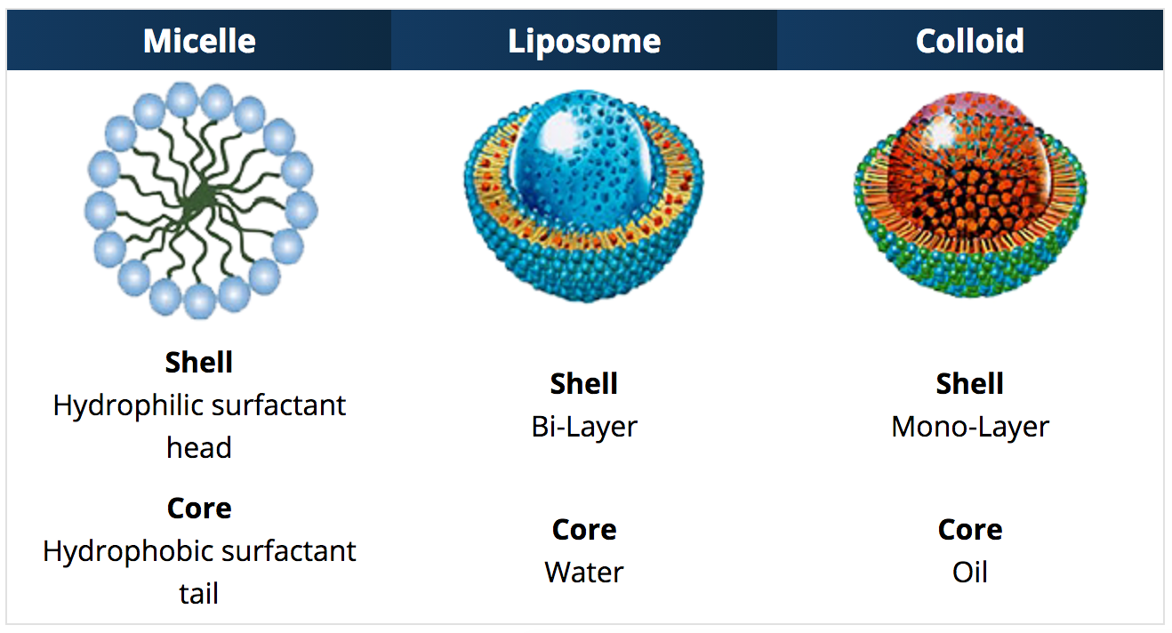 Warum Coenzym Q10 oft nicht ankommt – und was die VESIsorb®-Technologie verändert