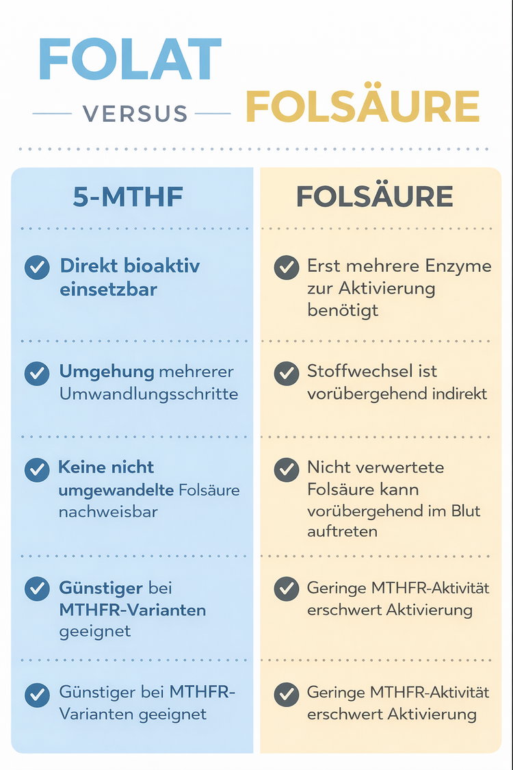 Folat versus Folsäure