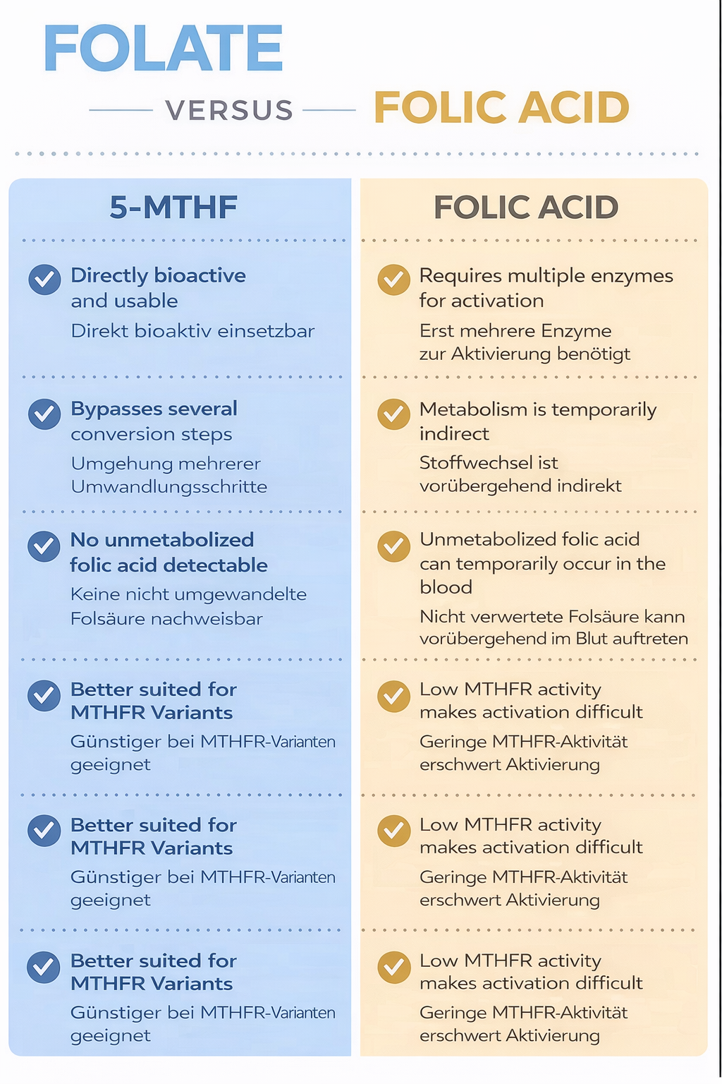 Vorteile von Folsäure auf Basis von 5-MTHF