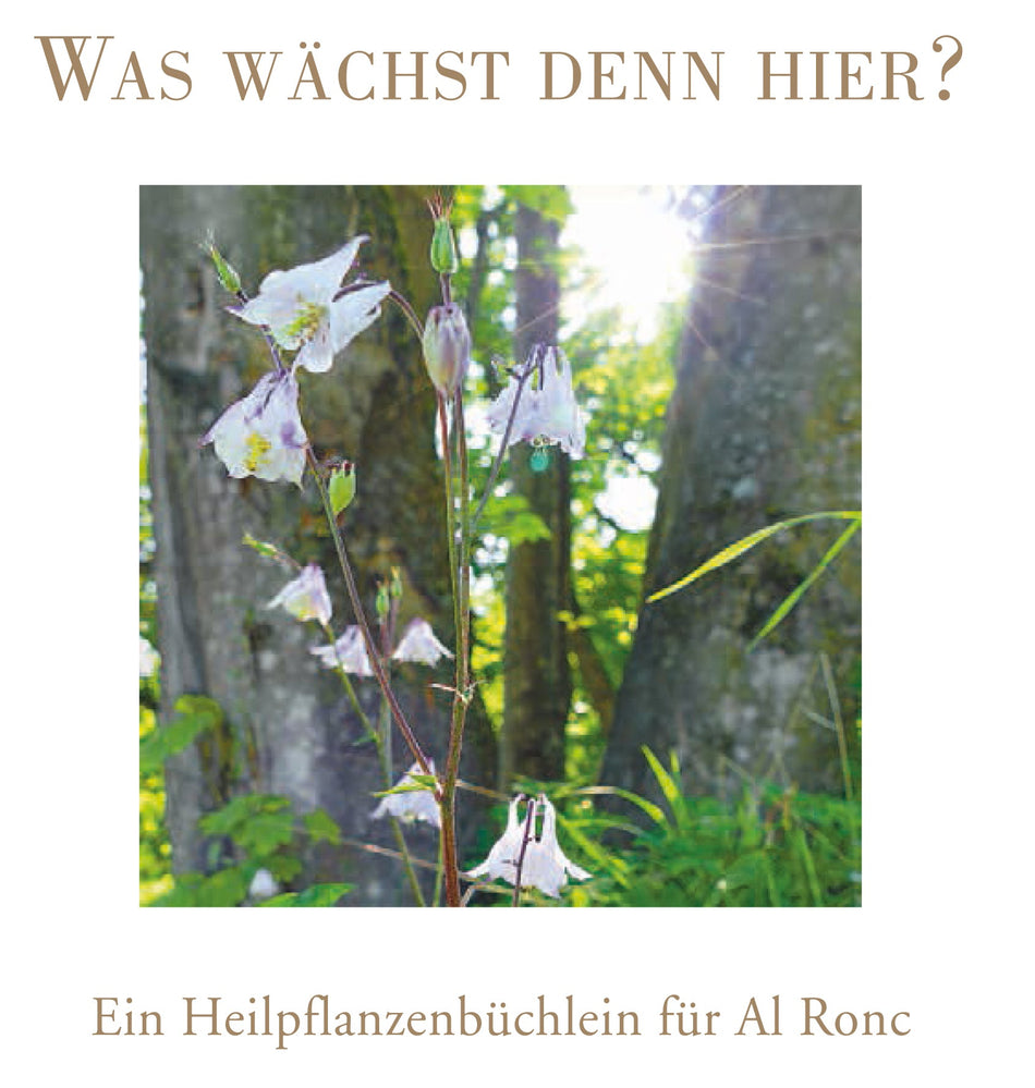 Was wächst denn hier?